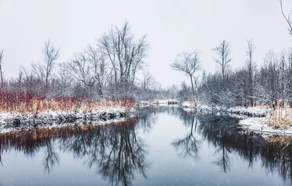 Picture autumn, nature, Spring Snow