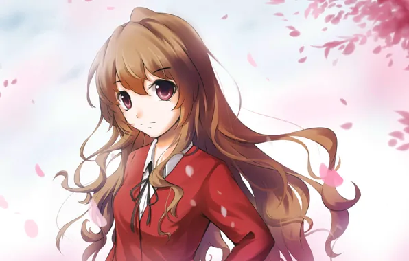 Wallpaper Toradora! Anime female