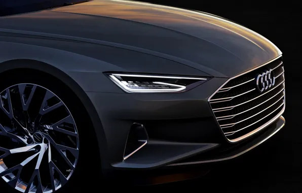 Concept, Audi, coupe, Coupe, the front part, 2014, Prologue