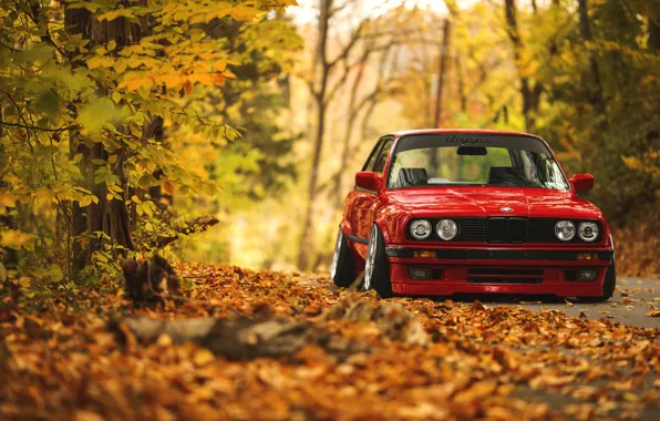 Road, autumn, forest, leaves, BMW, E30