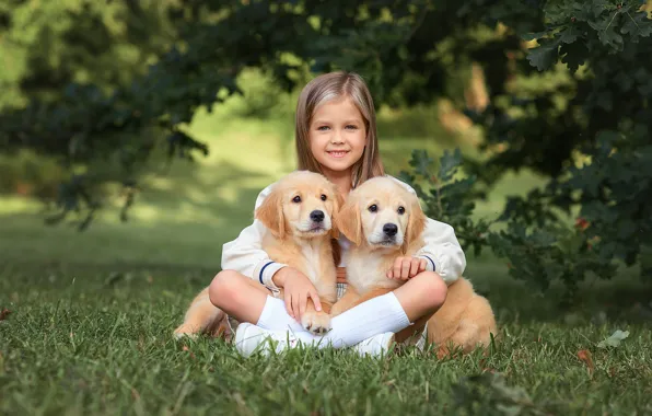 Dogs, summer, grass, branches, nature, pose, glade, foliage