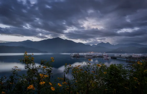 Flowers, mountains, lights, shore, ships, port, twilight