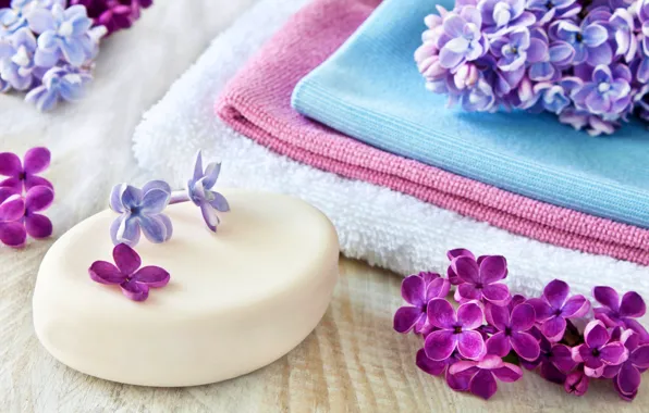 Lilac, soap, soap, Spa, spa, lilac