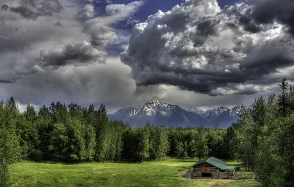 Forest, clouds, mountains, glade, the barn, Alaska, Pioneer Peak, Fugaccia mountains