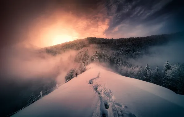 Picture winter, mountains, fog