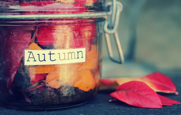 Picture autumn, leaves, the inscription, jar