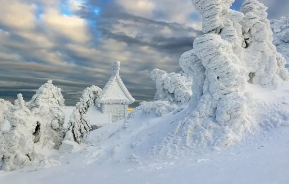 Picture winter, snow, Germany, Bayern, Arber Chapel