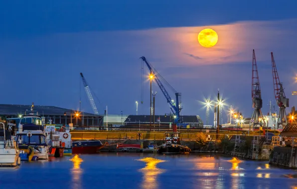 Picture sea, the moon, the evening, port, cranes