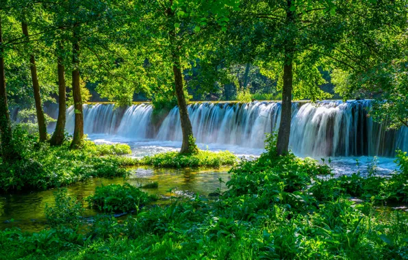Picture greens, forest, waterfall