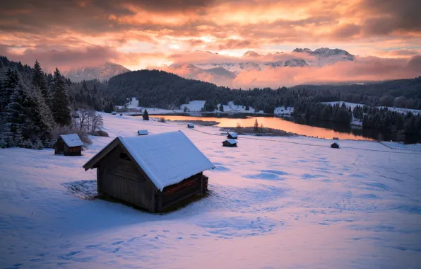 Winter, forest, snow, mountains, Alps