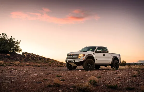 Picture Ford, Raptor, Sunset, White