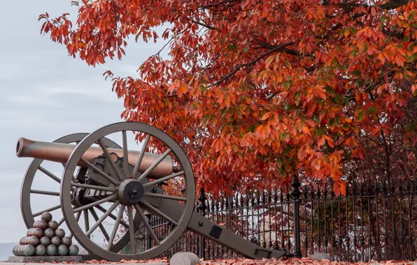 Picture gun, Battlefield, Gettysburg