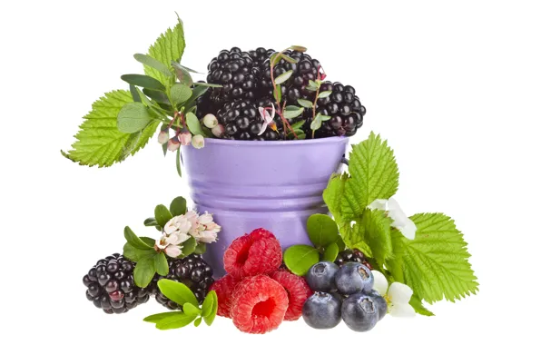 Picture leaves, berries, raspberry, bucket