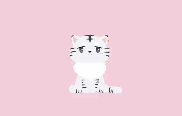 Cat, cat, minimalism, kitty, Isekai wa Smartphone to Tomo ni