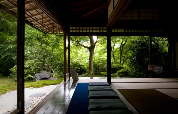 Forest, trees, search, house, relax, silence, meditation, temple