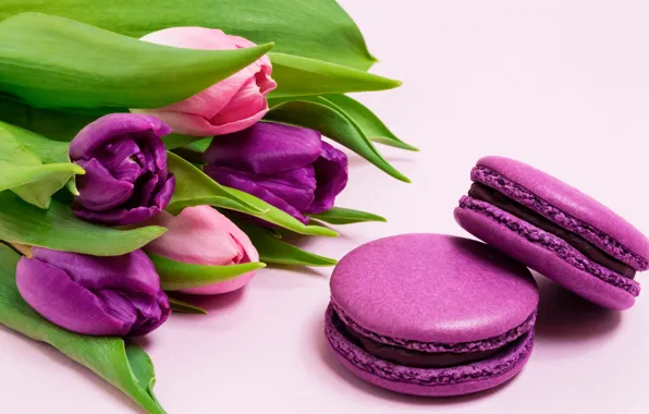 Picture flowers, bouquet, tulips, flowers, tulips, purple, macarons, macaroon
