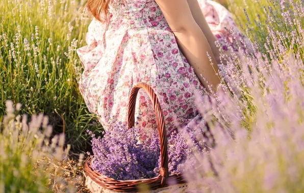 Girl, flowers, nature, face, woman, lavender