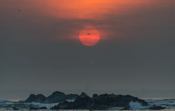 Sea, clouds, landscape, sunset, stones, rocks, Sri Lanka