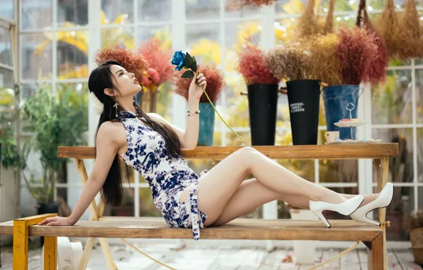 Picture girl, pose, Asian