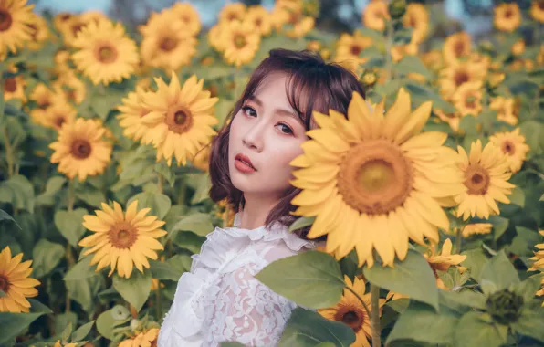 Field, look, girl, sunflowers, Asian