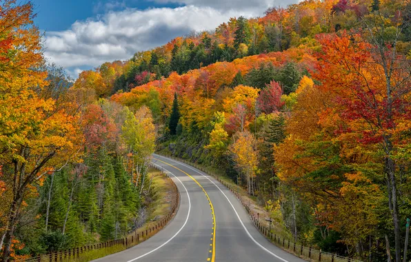 Picture road, autumn, forest, the sun, clouds, trees