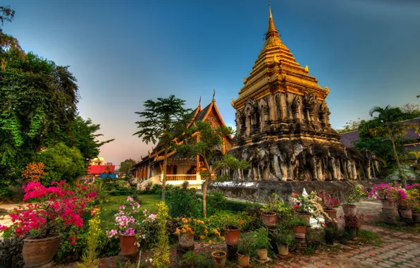Flowers, Thailand, Thailand, Chiang Mai, Wat Chiang man, Wat Chiang Man, Chiang Mai