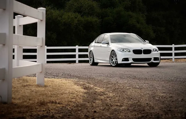 Bmw, BMW, cars, cars, auto wallpapers, car Wallpaper, auto photo, 5series