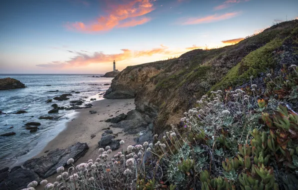 Sea, beach, lighthouse, the evening