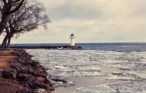Picture ice, winter, sea, the sky, clouds, nature, tree, lighthouse