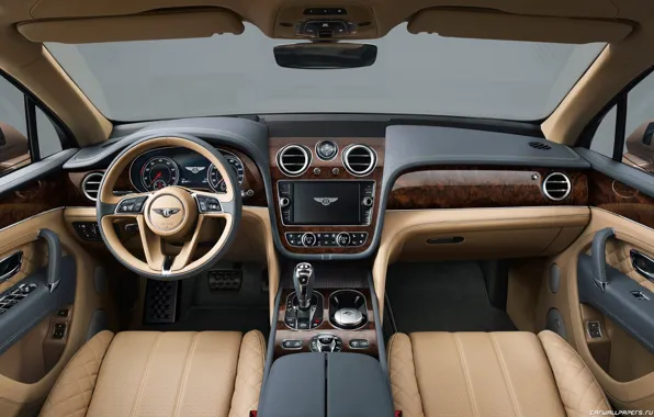 Tree, Bentley, leather, devices, salon, the wheel.
