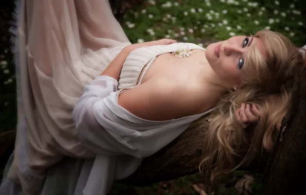 Picture hair, dress, blonde, beauty