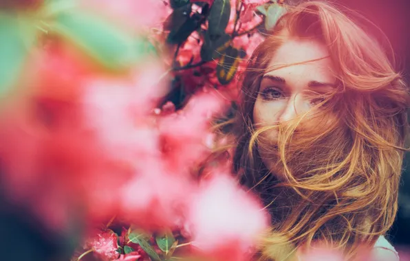 Picture girl, flowers, face, romance, pink