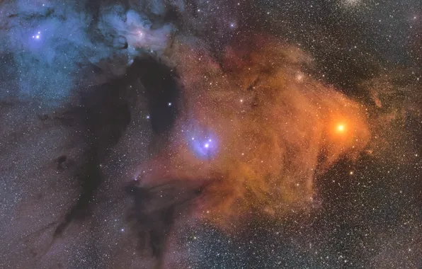 Picture cloud, giant, molecular, Rho Ophiuchi, in the constellation of Ophiuchus