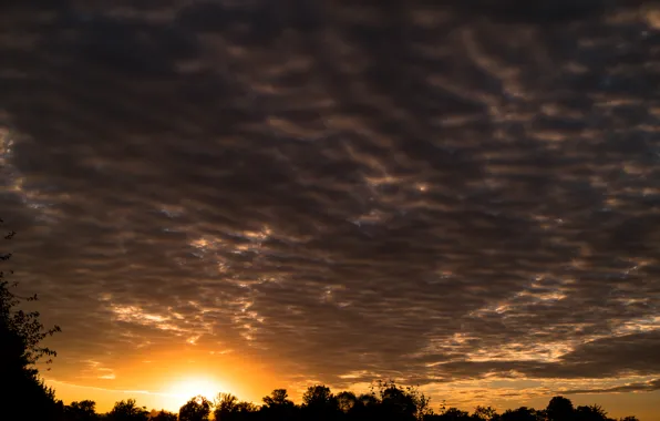 Glow, Sun, Sunset, Autumn, Evening