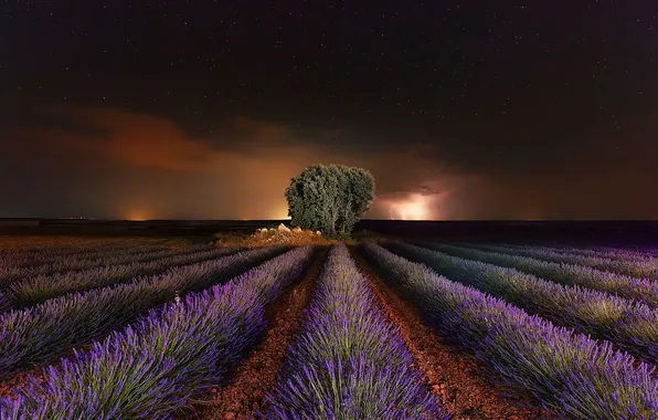 The storm, field, the sky, stars, landscape, flowers, night, clouds