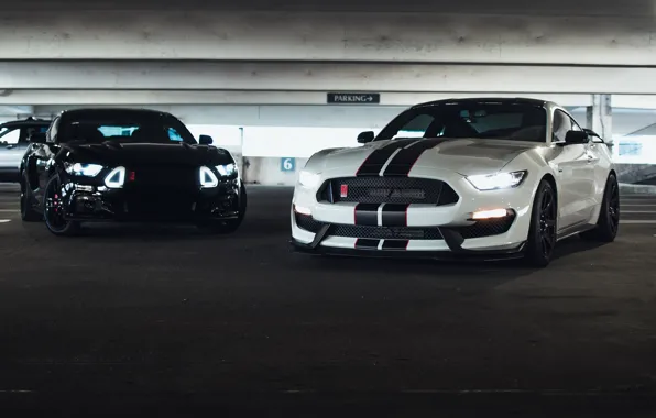 Mustang, Ford, Black, Lights, White, Muscle Cars