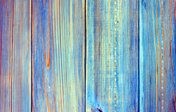 Tree, paint, texture