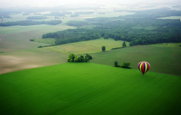 Field, trees, blue, yellow, red, nature, balloon, meadow