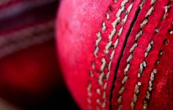 Macro, paint, the game, the ball, cricket