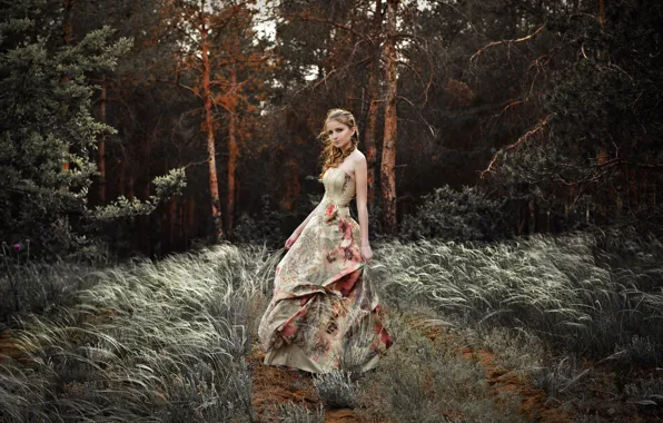 Picture forest, grass, look, girl, trees, nature, the wind, dress