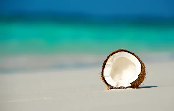 Beach, the ocean, coconut, walnut, The Maldives