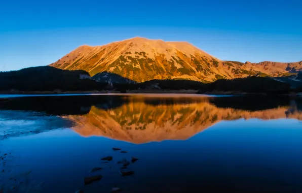 Beauty, horizon, the reflection in the water, blue sky, Gold mountain, Nikolov Andriyan