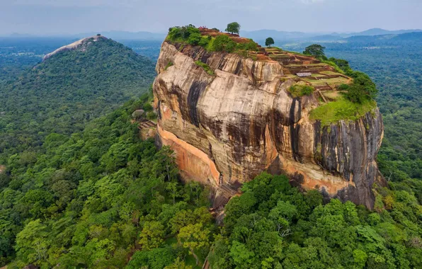 Sri Lanka #nature #road #trees #photography #green #4K #wallpaper  #hdwallpaper #desktop | Nature desktop, Nature desktop wallpaper, Tree hd  wallpaper