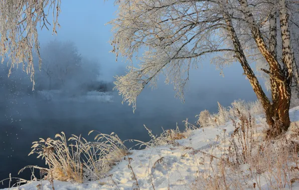 Picture winter, snow, landscape, nature, fog, river, birch