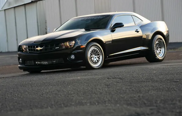 Auto, Moto, camaro, chevrolet
