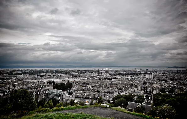 The sky, grass, clouds, trees, city, the city, building, home