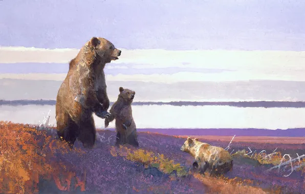 Animals, picture, bears, art, bears, bear, Bob Kuhn