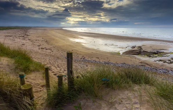 Sea, beach, summer, landscape, dunes