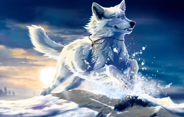 Picture white, the sun, snow, sunset, jump, Wolf, art, Fang