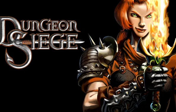 Picture game, the game, Action, RPG, dungeon siege, Lady Montbarron, Legends of Aranna, Kingdom of Ehb